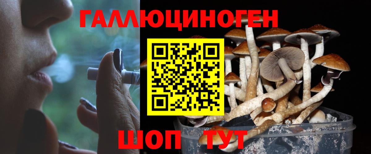 Псилоцибиновые грибы Cubensis  Вход с VPN  Солнечногорск 